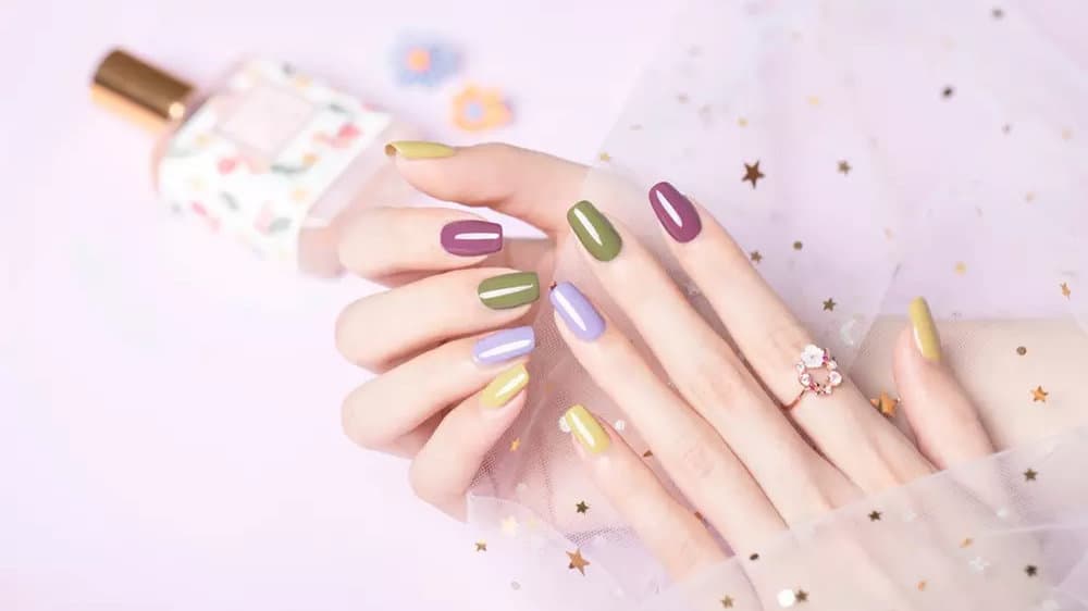 Dash Booking Partner Image