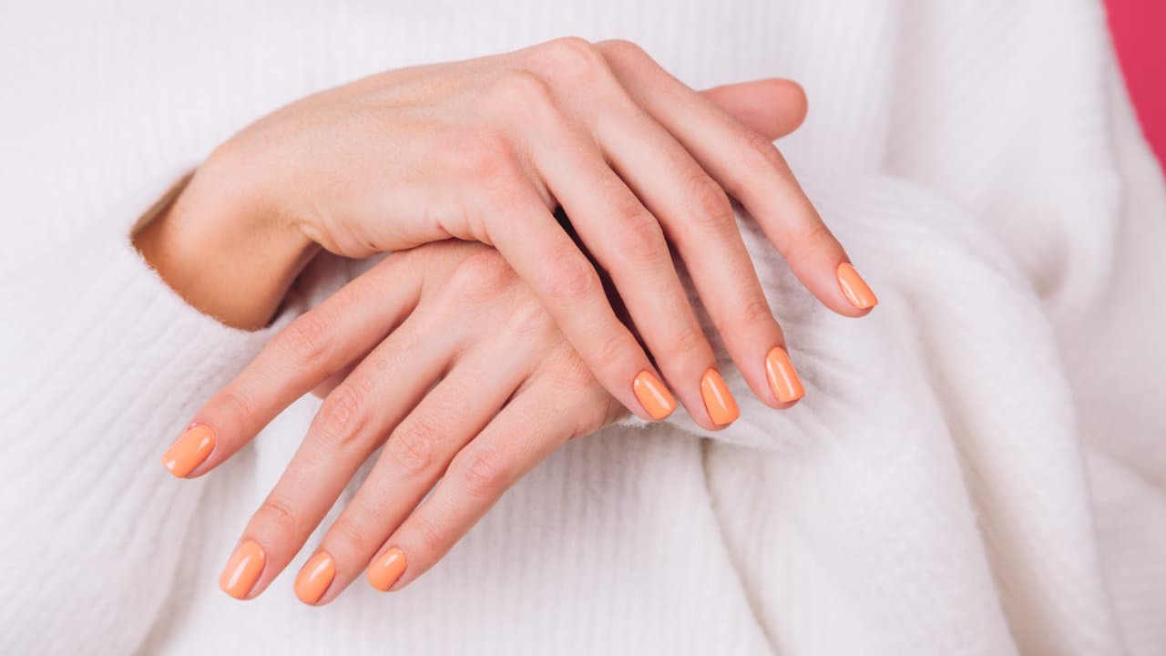 Dash Booking Partner Image