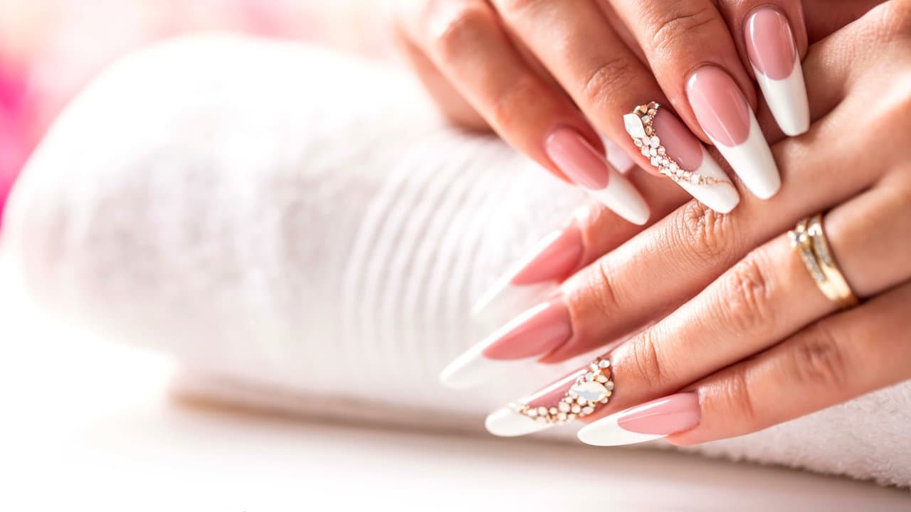 Dash Booking Partner Image