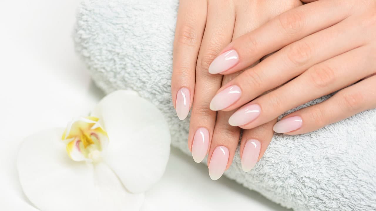 Dash Booking Partner Image