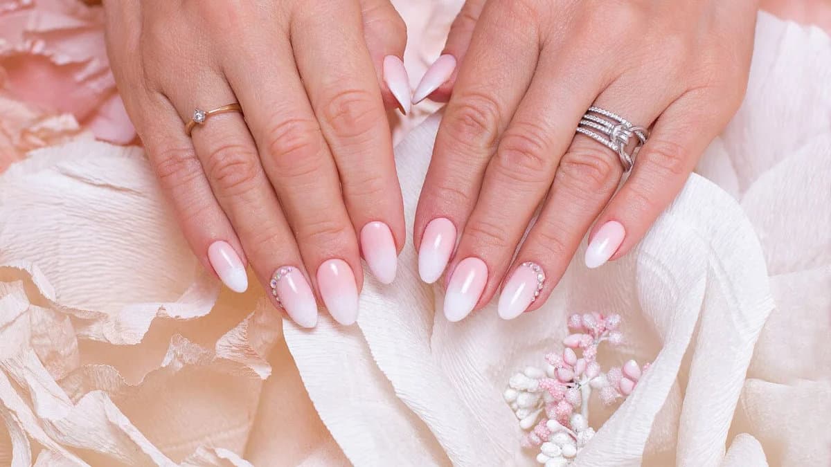 Dash Booking Partner Image