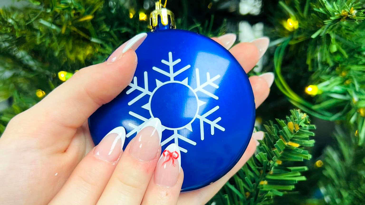 Dash Booking Partner Image