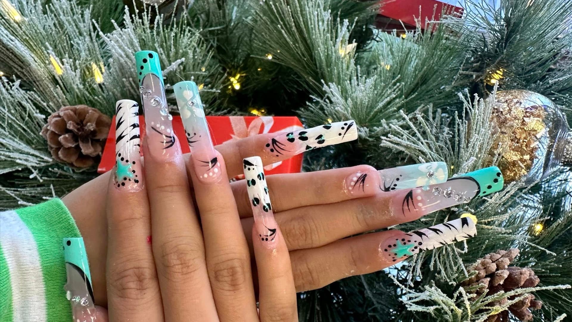 Dash Booking Partner Image