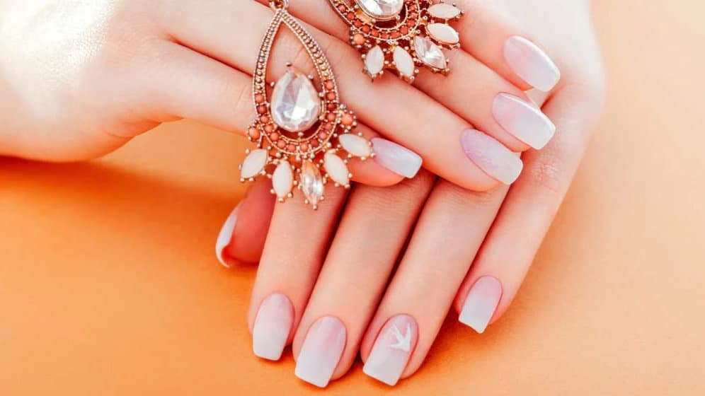 Dash Booking Partner Image