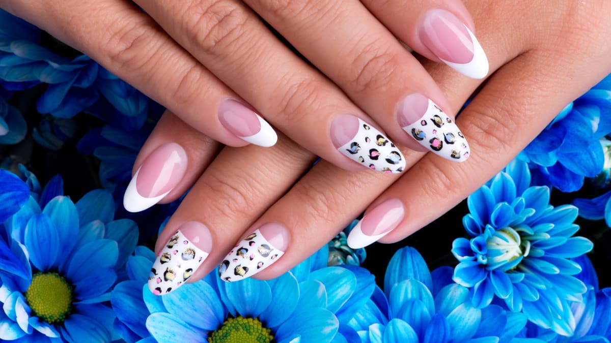 Dash Booking Partner Image