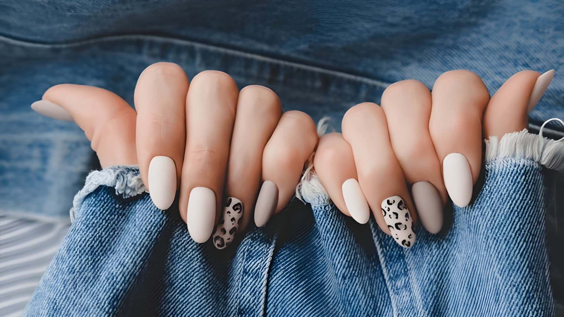 Dash Booking Partner Image