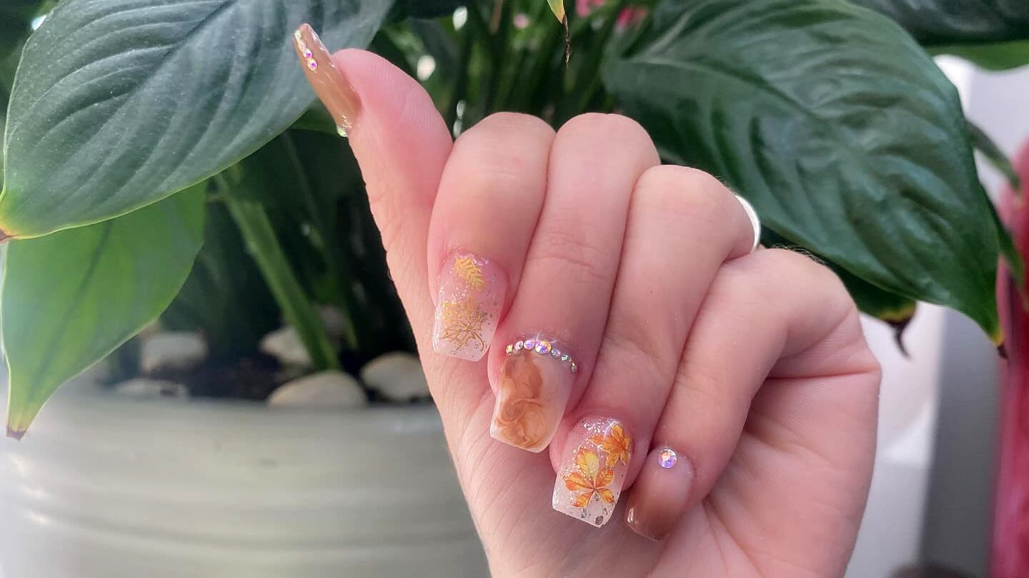 Dash Booking Partner Image