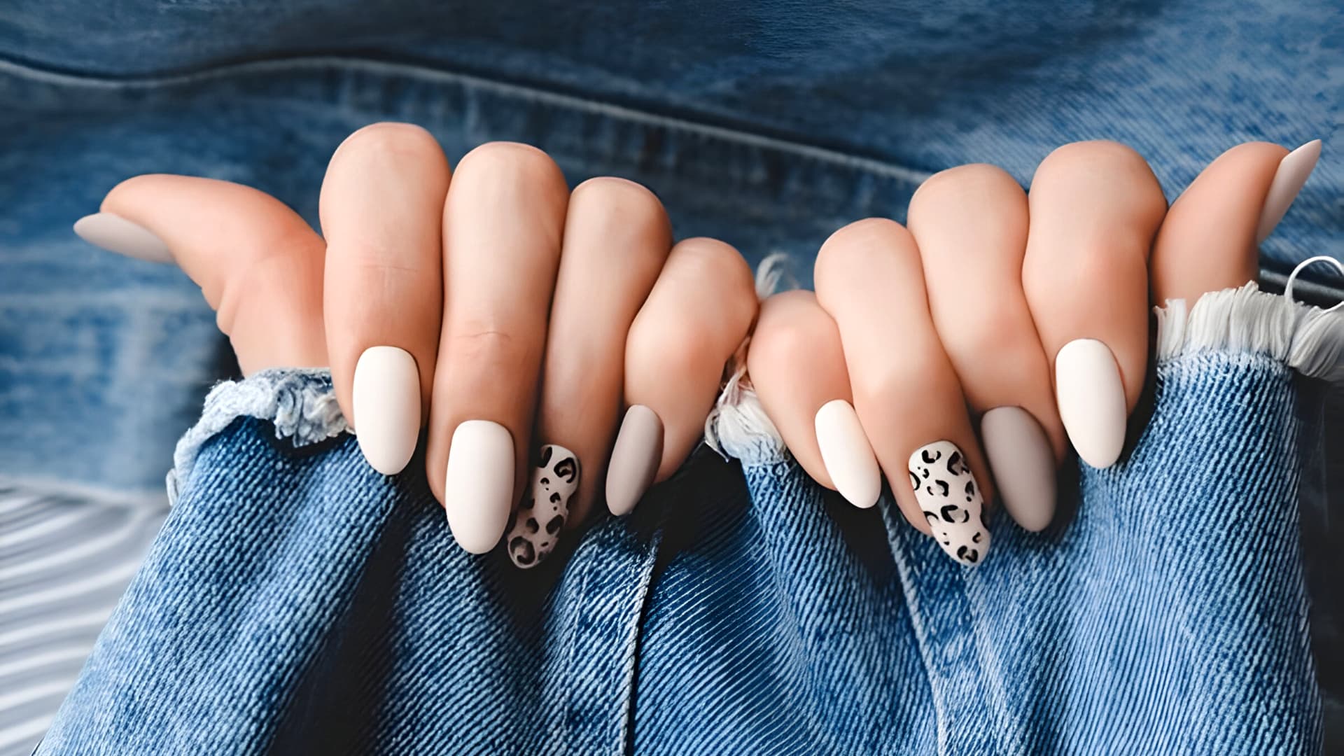 Dash Booking Partner Image