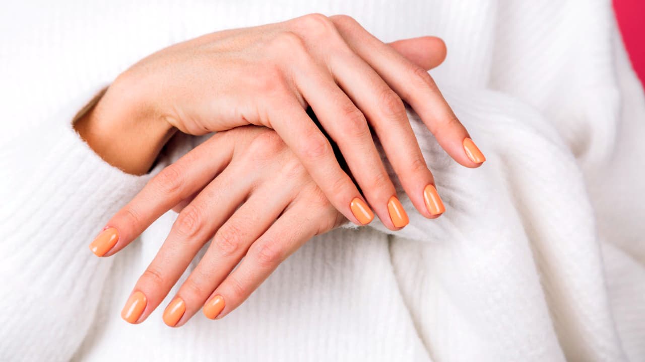 Dash Booking Partner Image