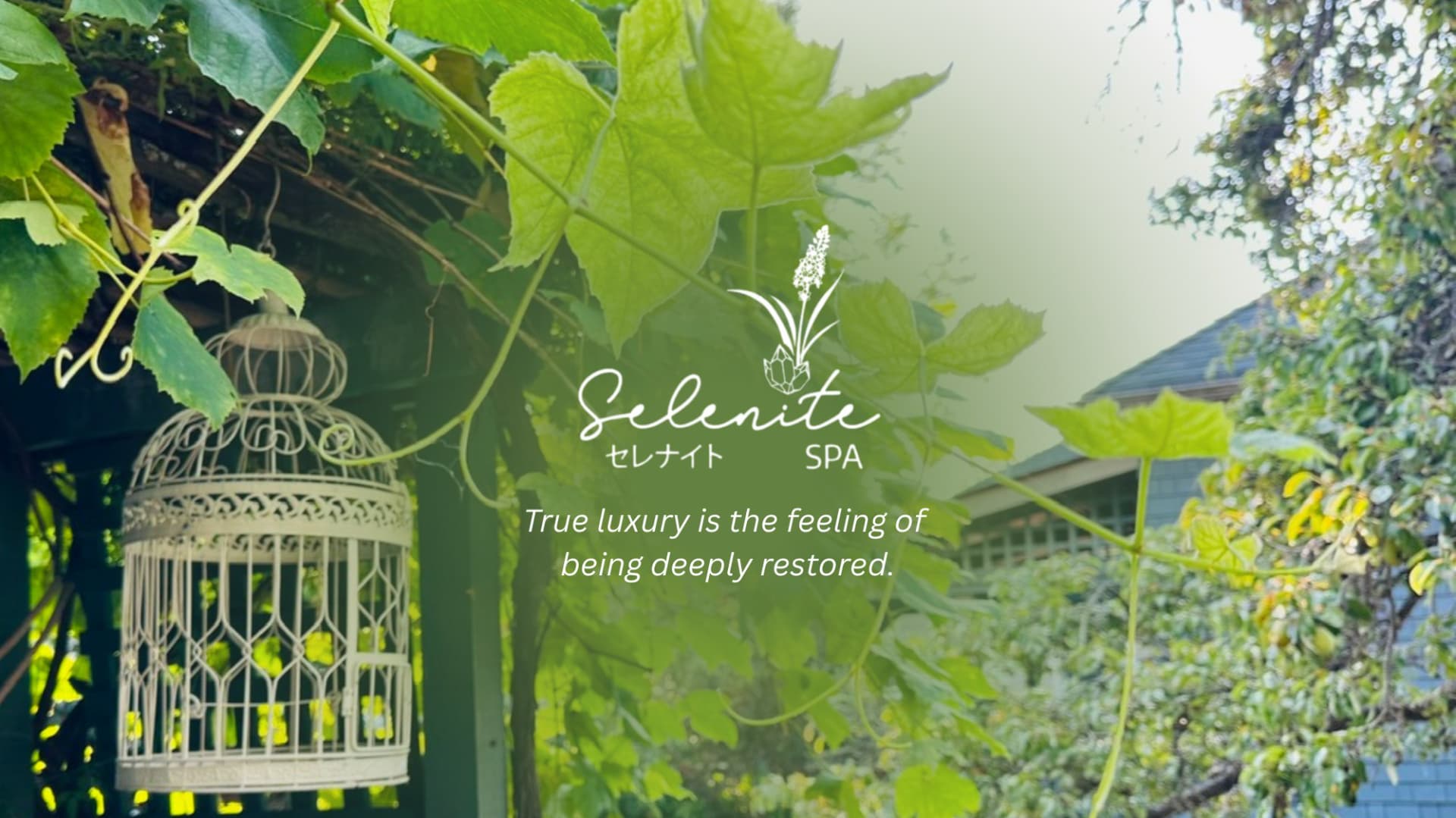 Dash Booking Partner Image