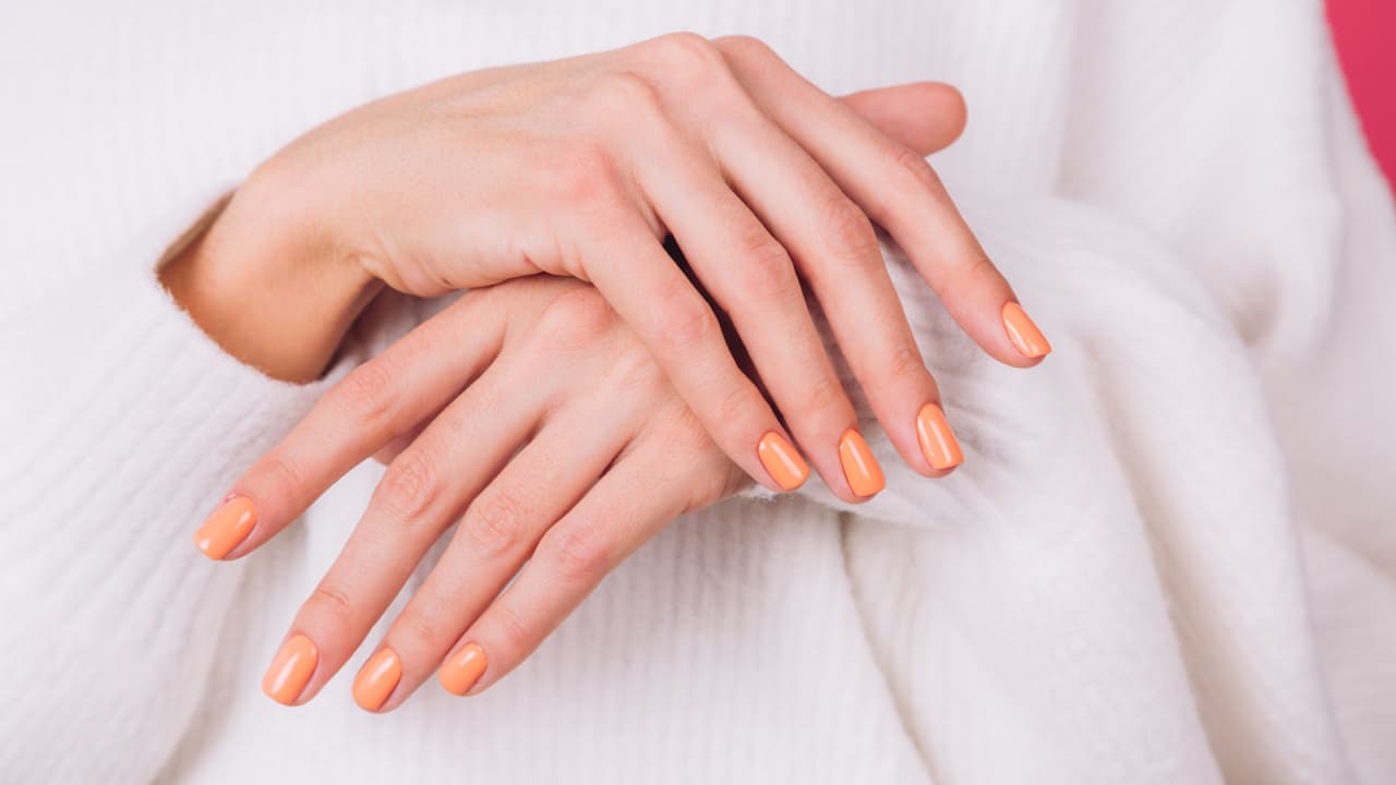 Dash Booking Partner Image