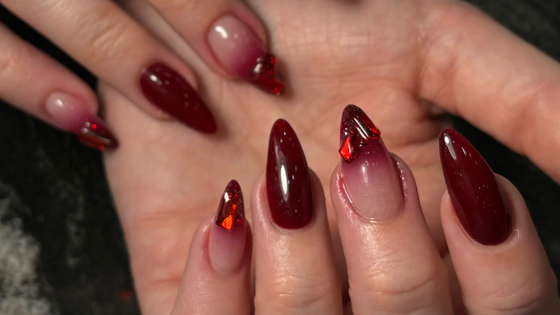 Dash Booking Partner Image