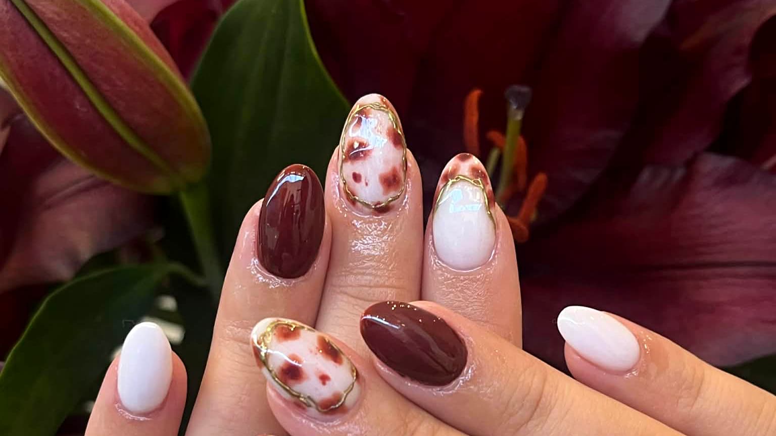 Dash Booking Partner Image