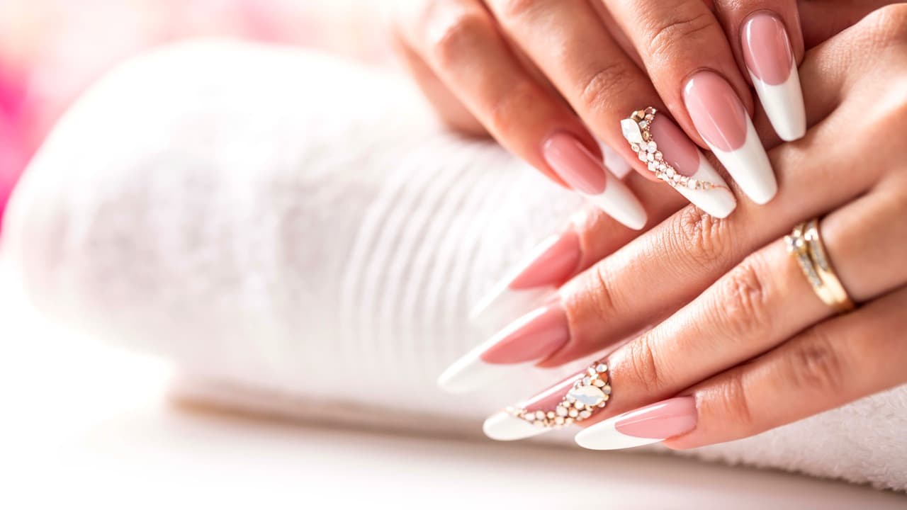 Dash Booking Partner Image