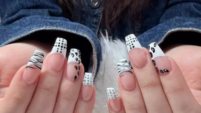 Dash Booking Partner Image