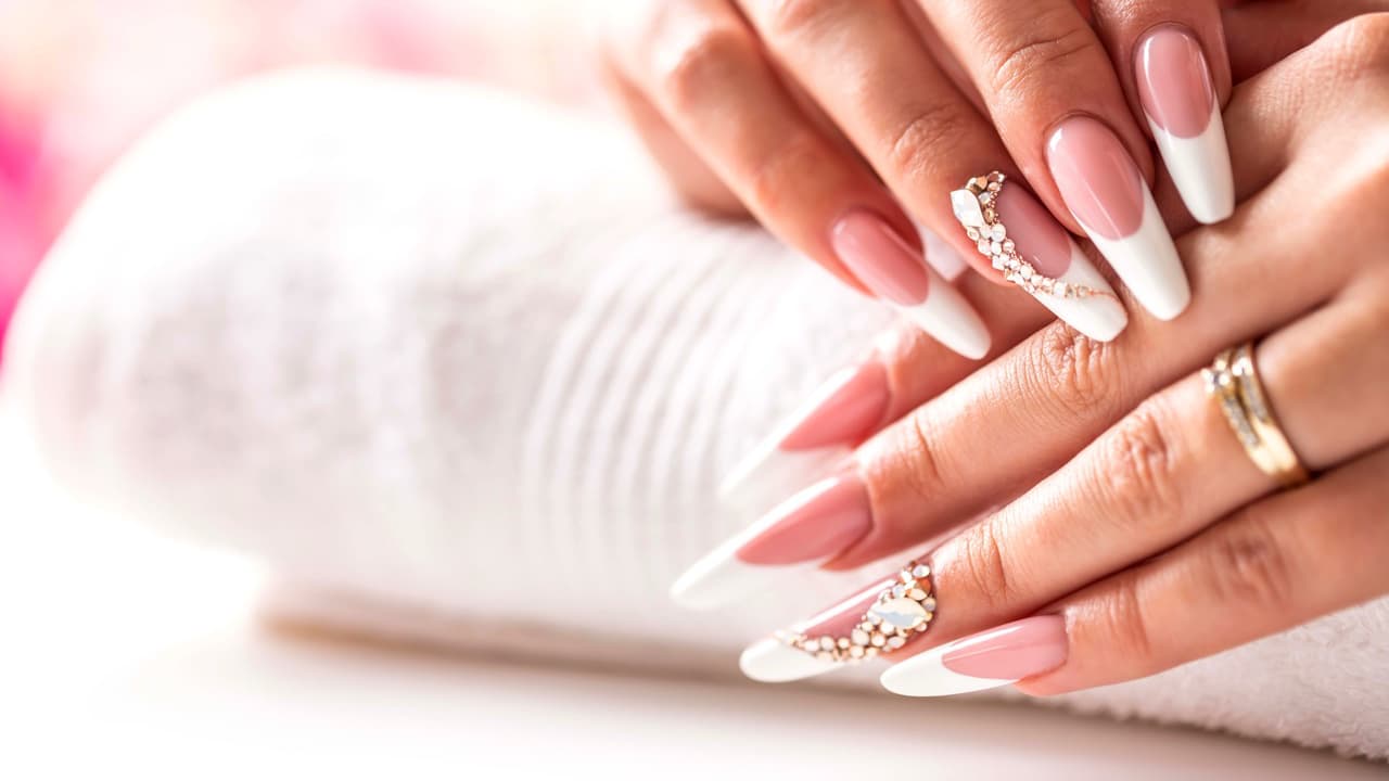 Dash Booking Partner Image